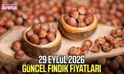 29 Eylül 2026 güncel fındık fiyatları