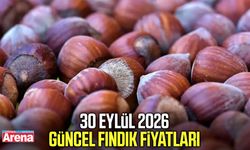 30 Eylül 2026 güncel fındık fiyatları