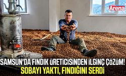 Samsun'da yağmur fındık üreticisini çaresiz bıraktı!