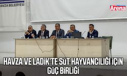 Havza ve Ladik’te süt hayvancılığı için güç birliği