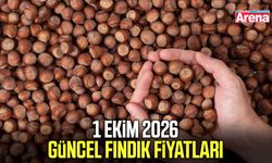 1 Ekim 2026 güncel fındık fiyatları