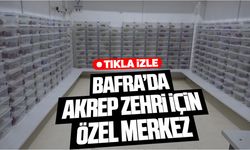 Bafra’da akrep zehri için özel merkez kuruldu