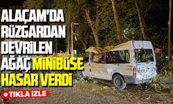 Alaçam'da rüzgardan devrilen ağaç minibüse hasar verdi