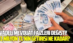 Vadeli mevduat faizleri değişti! 1 milyon TL'nin getirisi ne kadar?