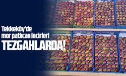 Tekkeköy'de mor patlıcan incirleri müşterilerini bekliyor