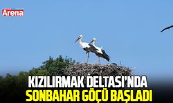 Samsun Kızılırmak Deltası’nda sonbahar göçü başladı