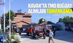 Kavak'ta TMO buğday alımları tamamlandı
