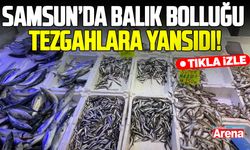 Samsun’da balık bolluğu tezgahlara yansıdı! palamut 50 liraya düştü