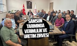 Samsun tarımında verimlilik ve üretim zirvesi