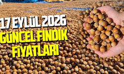 17 Eylül 2026 güncel fındık fiyatları
