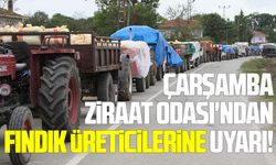 Çarşamba Ziraat Odası'ndan fındık üreticilerine uyarı