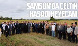 Samsun'da 2026 çeltik hasadı başladı