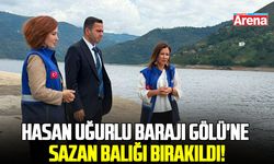 Samsun'da Hasan Uğurlu Barajı Gölü'ne sazan balığı bırakıldı