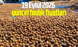 19 Eylül 2026 güncel fındık fiyatları