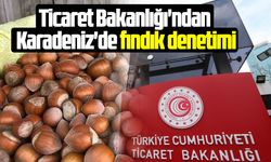 Ticaret Bakanlığı'ndan Karadeniz'de fındık denetimi