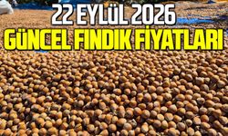 22 Eylül 2026 güncel fındık fiyatları