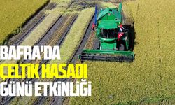 Bafra'da Çeltik hasadı günü etkinliği
