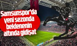 Samsunspor'da beklenenin altında gidişat
