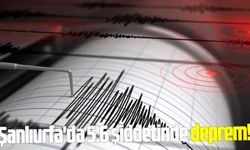 Şanlıurfa'da 5.6 şiddetinde deprem