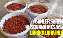 Havza'da kışlık hazırlıklarda mekanik sistem