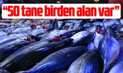 Samsun'da palamut bolluğu fiyatları dibe çekti