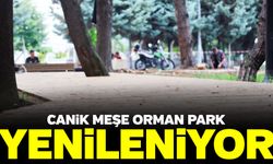 Canik Meşe Orman Park yenileniyor