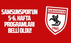 Samsunspor'un 5. ve 6. hafta programı belli oldu