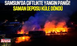 Samsun'da çiftlikte yangın paniği! Saman deposu küle döndü