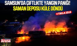 Samsun'da çiftlikte yangın paniği! Saman deposu küle döndü