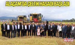 Samsun Alaçam'da çeltik hasadı başladı