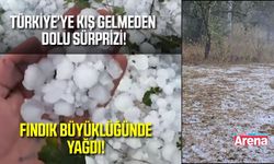 Kış gelmeden dolu yağdı! Yollar ve tarlalar beyaza büründü