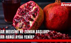 Nar mevsimi ne zaman başlar? Nar hangi ayda yenir?