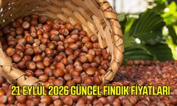 21 Eylül 2026 güncel fındık fiyatları