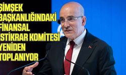 Şimşek başkanlığındaki Finansal İstikrar Komitesi yeniden toplanıyor