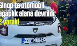 Sinop’ta otomobil ağaçlık alana devrildi: 2 yaralı!