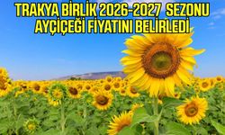 Trakya Birlik 2026-2027 sezonu ayçiçeği fiyatını belirledi