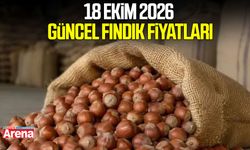 18 Ekim 2026 güncel fındık fiyatları