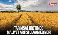 Tarımsal üretimde maliyet artışı devam ediyor!