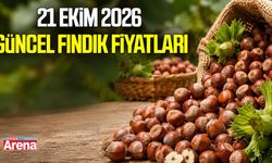 21 Ekim 2026 güncel fındık fiyatları