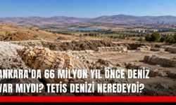 Ankara'da 66 milyon yıl önce deniz var mıydı? Tetis Denizi neredeydi?