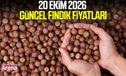 20 Ekim 2026 güncel fındık fiyatları