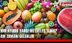 Ekim ayında hangi meyveler yenir? Tam zamanı gelenler