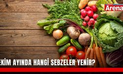 Ekim ayında hangi sebzeler yenir?