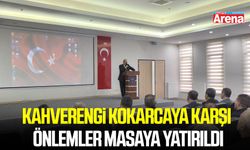 Kahverengi kokarcaya karşı önlemler masaya yatırıldı