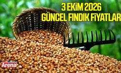3 Ekim 2026 güncel fındık fiyatları