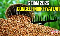 6 Ekim 2026 güncel fındık fiyatları