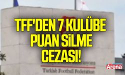 TFF'den 7 kulübe puan silme cezası