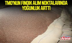 Samsun'da TMO'nun fındık alım noktalarında yoğunluk arttı