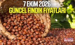 7 Ekim 2026 güncel fındık fiyatları