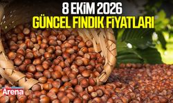 8 Ekim 2026 güncel fındık fiyatları